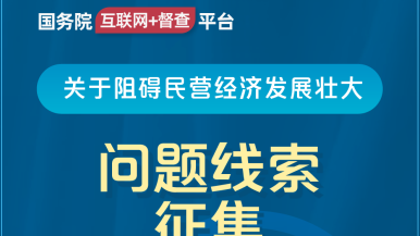 免费插逼网站国务院“互联网+督查”平台公开征集阻碍民营经济发展壮大问题线索